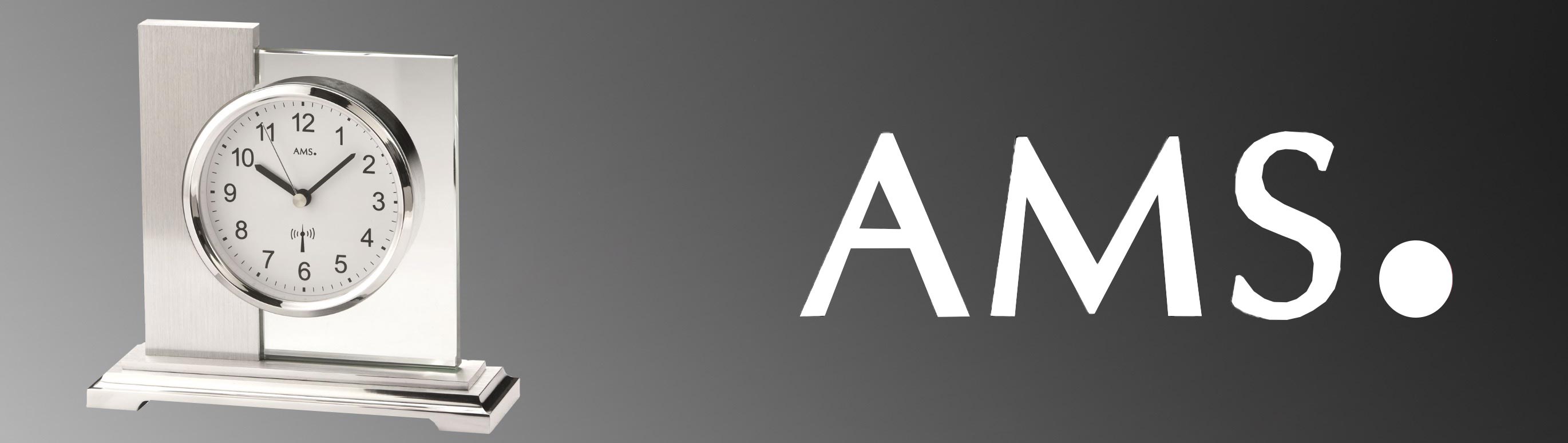 AMS Banner