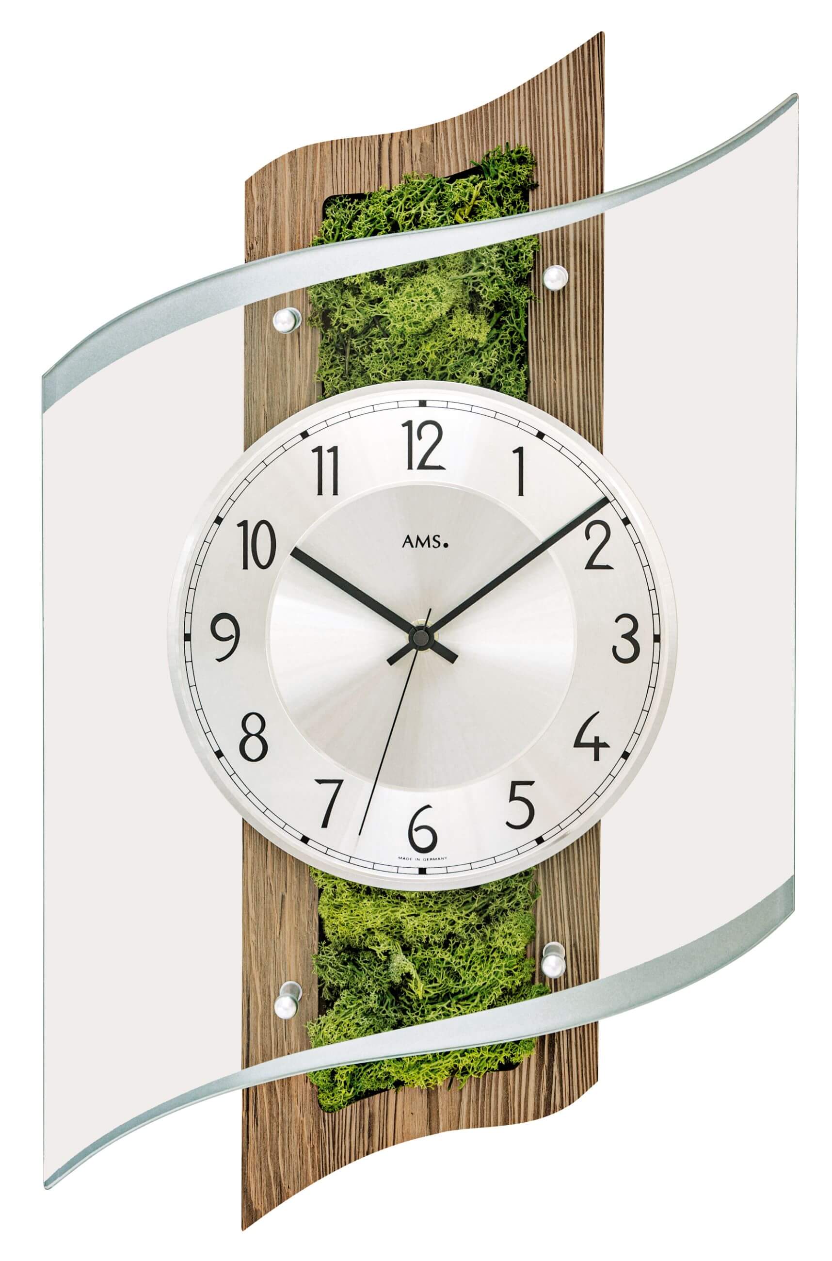 AMS -Moss wood 48cm- 5517